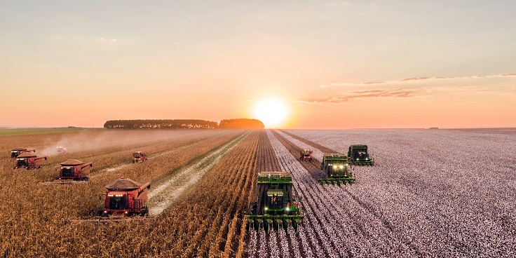 A importância de aprimorar a gestão do agronegócio brasileiro